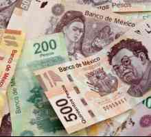 Meksički pezo. Povijest i korisne informacije o valuti Meksika