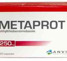 `Metaproth`: upute za uporabu, povratne informacije