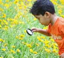 Način ekološkog obrazovanja djece predškolske dobi