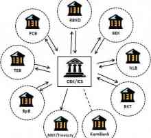 Međubankovna naselja i njihovo značenje u bankarskom sustavu