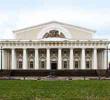 Robna razmjena u St. Petersburgu: opis i funkcije