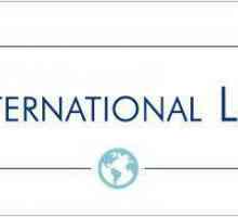 Međunarodni običaj kao izvor međunarodnog prava