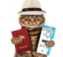 Međunarodna veterinarska putovnica za pse i mačke
