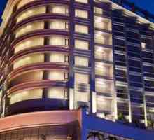 Michelia Hotel Nha Trang 4 * (Vijetnam, Nha Trang): opis i recenzije