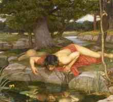 Mit o Narcisu: sažeto i skriveno značenje