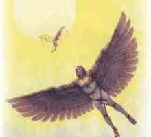 Mitovi antičke Grčke: Daedalus i Icarus. Legenda sažetak, slike