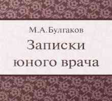 Михаил Булгаков, `Записки юного врача`: краткое содержание и анализ