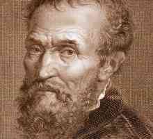 Michelangelo: kreativnost i biografija