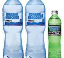Mineralna voda "Polyana Kvasova": svojstva, svojstva primjene, indikacije i…