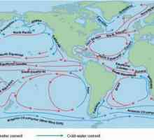 Oceani: proučite oceanske struje