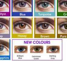 Soft Obojene leće FreshLook ColorBlends: opis, priručnik i recenzije