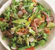 Mesna salata od govedine. Ukusna salata od mesa: recept