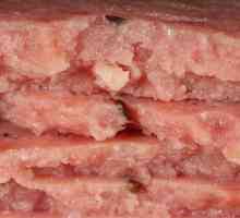 Mehaničko deboning mesa peradi - što je to? GOST mehaničkog odstranjivanja peradi