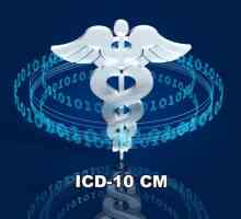 Što je ICD? Objašnjenje kratice