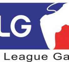 MLG - что это? Major League Gaming. Профессиональная лига видеоигр