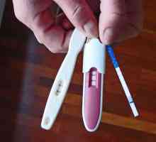 Prepoznatljivi testovi trudnoće - još jedan uspješan korak u digitalnoj tehnologiji
