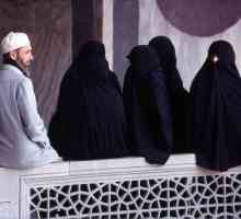 Poligamija u islamu: uvjeti, pravila. Zašto je poligamija dopuštena u islamu?