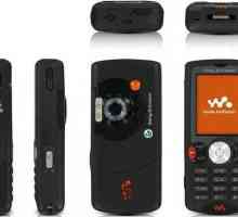 Mobilni telefon Sony Ericsson W810i: specifikacije i savjeti za demontažu