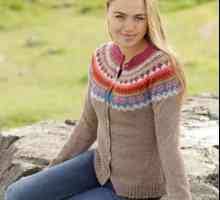Modni džemperi s iglom za pletenje: sheme, opis rada