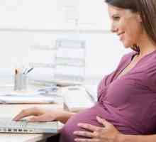 Može li se trudnica otpustiti na probni rok? Je li moguće nakon trudnoće provesti trudnicu? Imaju…