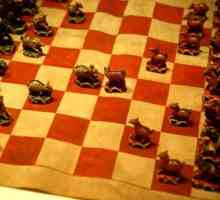 Mongolski šah: ime figurica i fotografija