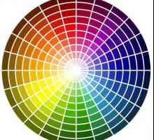 Jednobojne boje. Zakoni kombinacije boja u različitim sferama života.