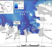 Amundsenovo more: geologija, klima, fauna
