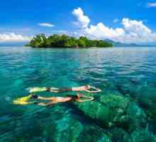 More Sulawesi: mjesto, opis i fauna