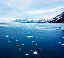 More na Arktički ocean: popis, značajke, karakteristike