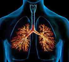 Može li biti bronhitis bez kašlja i vrućice?