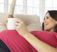 Je li moguće da trudnice piju alkohol, kavu, mlijeko?