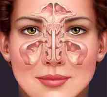 Bilo da je moguće zagrijati nos na genyantritisu? Uz genyantritis možete zagrijati nos ili ne?