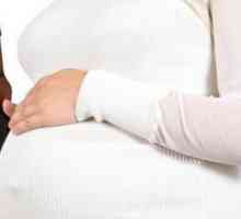 Je li moguće piti pivo tijekom trudnoće?