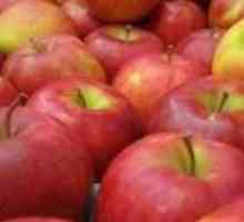Je li moguće zamrznuti jabuke za zimu, tako da su ukusni i konzervirani vitamini