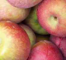 Je li moguće zaleđivati ​​jabuke i što od njih kuhati?