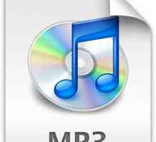 MP3 format: opis, programi za pretvaranje