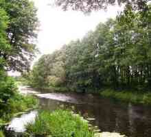 Мухавец - река в Беларуси: описание и география