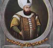 Murad III: biografija sultana, osvajanje teritorija, intrige palače