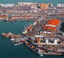 Murmansk Commercial Sea Port: povijest, opis, fotografija