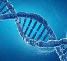 Mutacija hemostaznih gena: manifestacije i posljedice