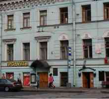 Muzejski stan Nekrasov NA: povijest, opis, izložbe