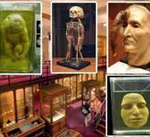 Музей медицинской истории Мюттера, Пенсильвания: история, экспонаты, фото