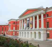 Muzej suvremene ruske povijesti. Muzej koji čuva uspomenu na generacije