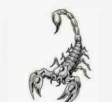Konj-Škorpion Čovjek u obitelji i životu