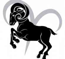 Muški Aries-Bull: karakteristike, horoskop. Tko je prikladan za Ovan