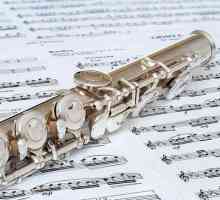 Glazbeni instrument flauta. Što je flauta?
