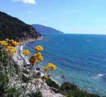 Rt Martyan - prirodni rezervat južne obale Krima. Fotografije i recenzije turista.