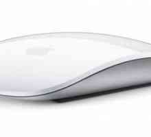Miš Apple Magic Mouse: recenzije. Kako povezati Apple Magic miš?