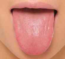 Mišići jezika. Jezik: Anatomija, fotografija