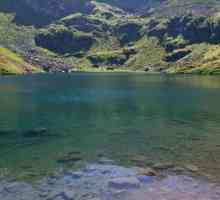 Mzy je jezero u Abhaziji. Opis spremnika, njegove značajke, mjesto i zanimljive činjenice